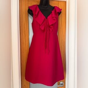 Anthropologie Ruffle V-Neck Sleeveless A-Line Dress in Fuchsia